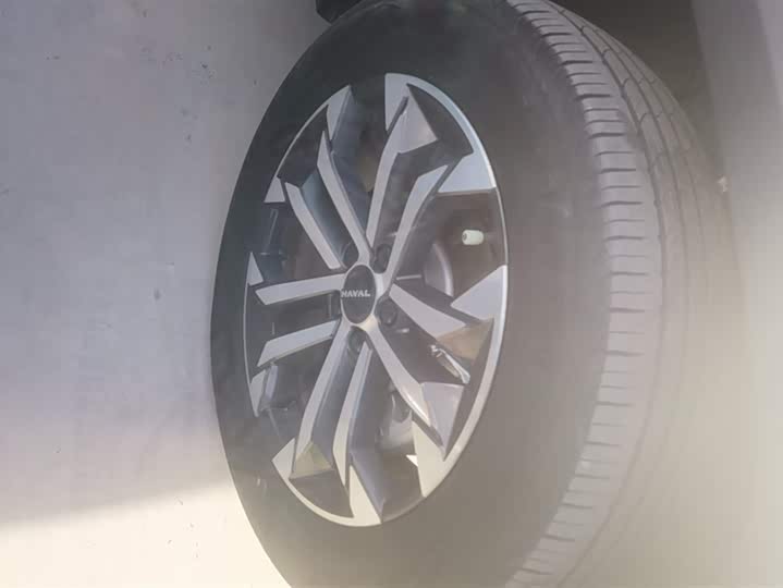 Haval H-Dog 2023 2023款 1.5T 两驱潮野版Plus