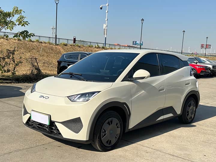 BYD Seagull 2025 2025款 智驾版 305km 活力版