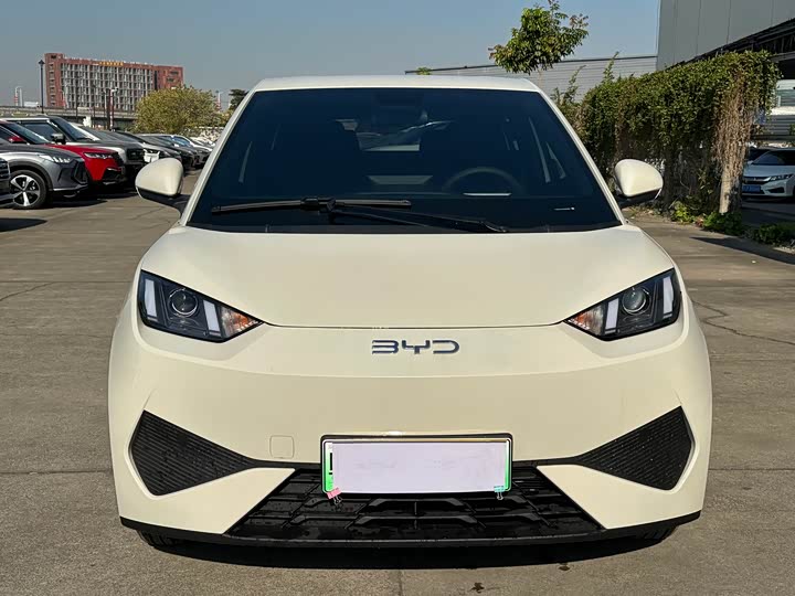 BYD Seagull 2025 2025款 智驾版 305km 活力版