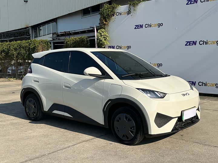 BYD Seagull 2025 2025款 智驾版 305km 活力版