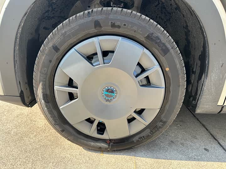 BYD Seagull 2025 2025款 智驾版 305km 活力版