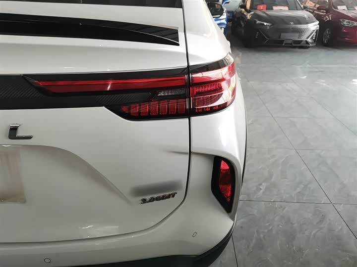Haval H6S 2022 2022款 2.0T 两驱智跑版