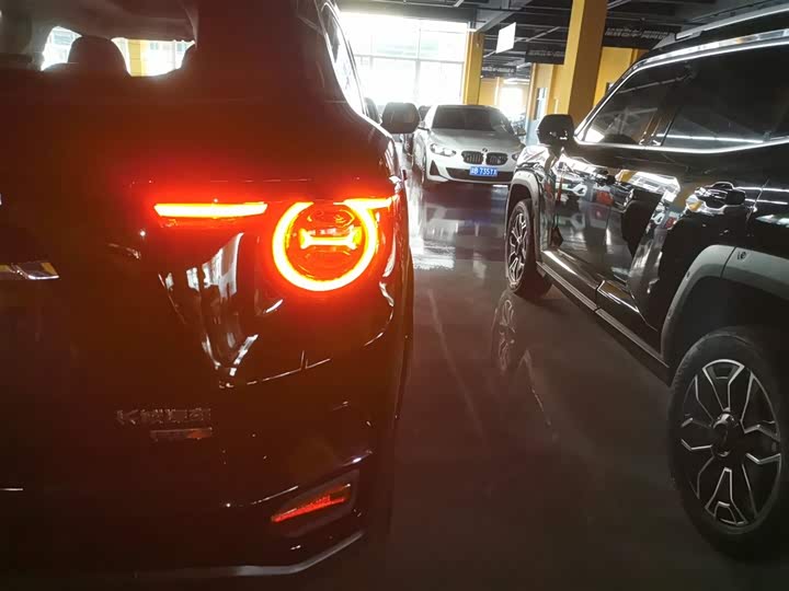 Haval H-Dog Hybrid 2024 2024款 Hi4 102km 潮电版Plus