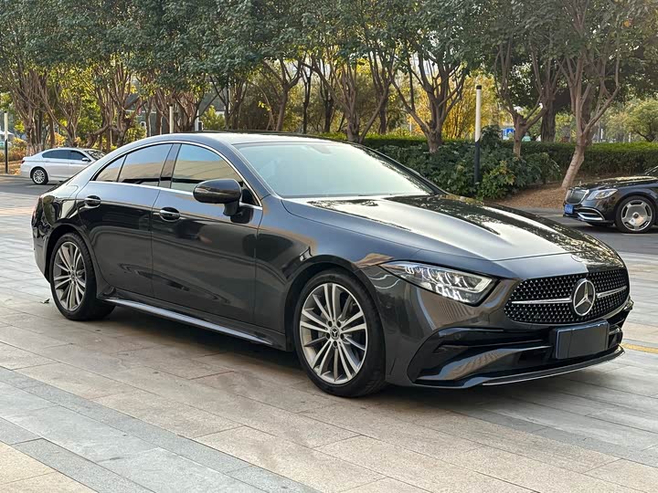 Mercedes-Benz CLS-Class 2023 2023款 CLS 300 动感型