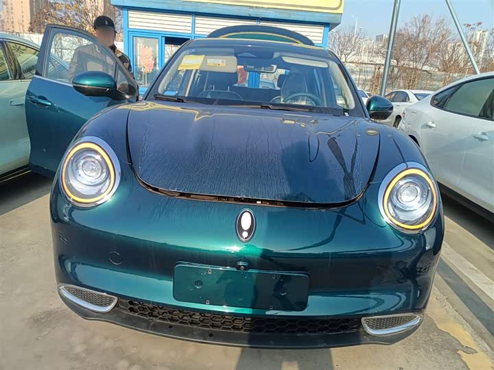 Ora Good Cat (03) 2024 2024款 401km 豪华型