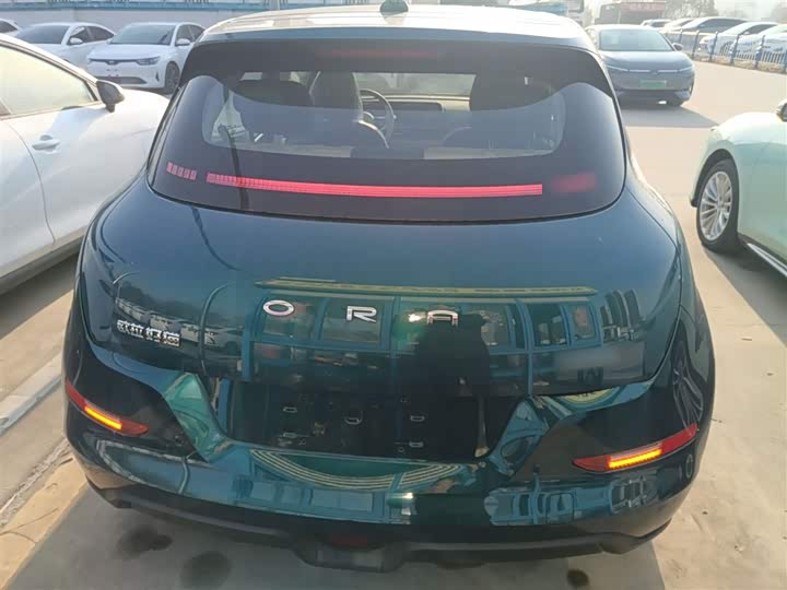 Ora Good Cat (03) 2024 2024款 401km 豪华型