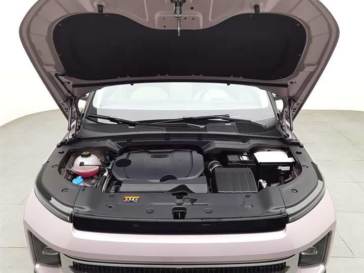 Geely Icon 2025 2025款 玲珑 1.5TD 如意版