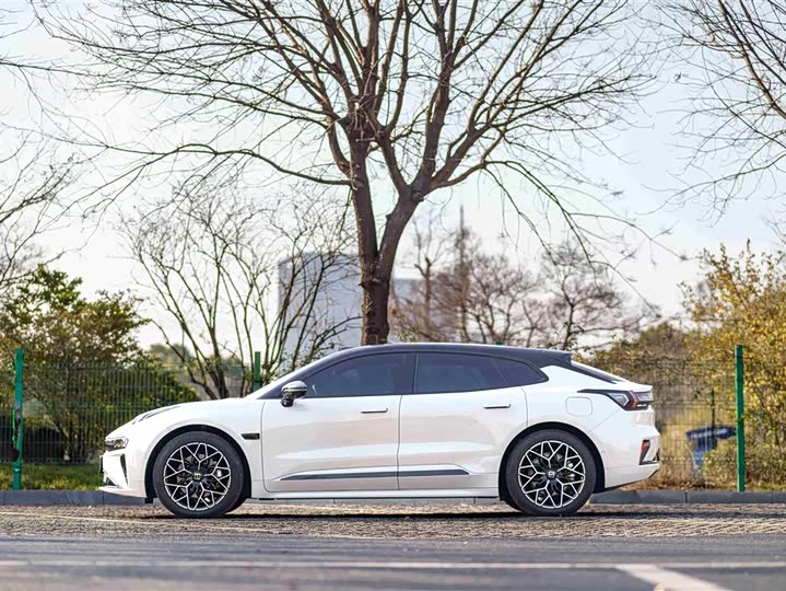 Zeekr 001 2025 2025款 WE版 95kWh 四驱