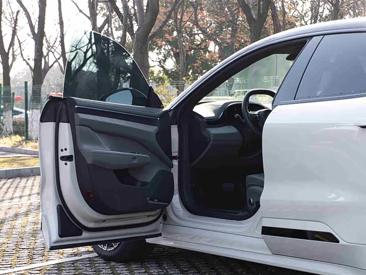 Zeekr 001 2025 2025款 WE版 95kWh 四驱