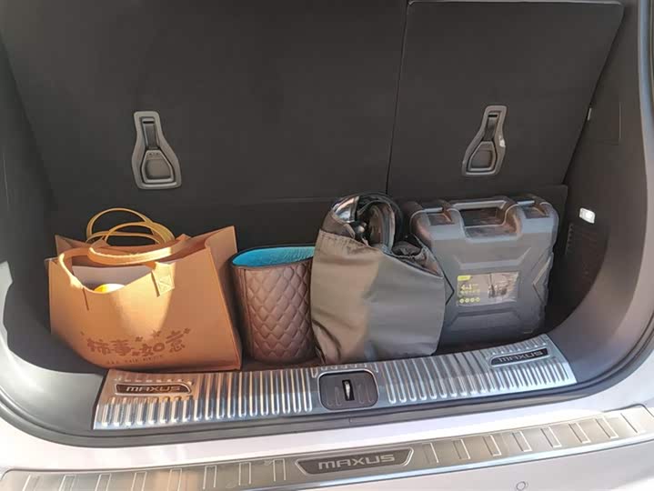 Maxus G90 2022 2022款 2.0T 星河七座版