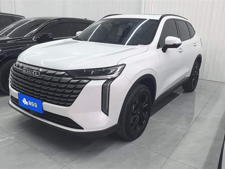 Haval H6 2024 2024款 2.0T 两驱Max