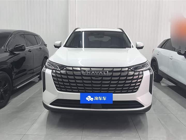 Haval H6 2024 2024款 2.0T 两驱Max