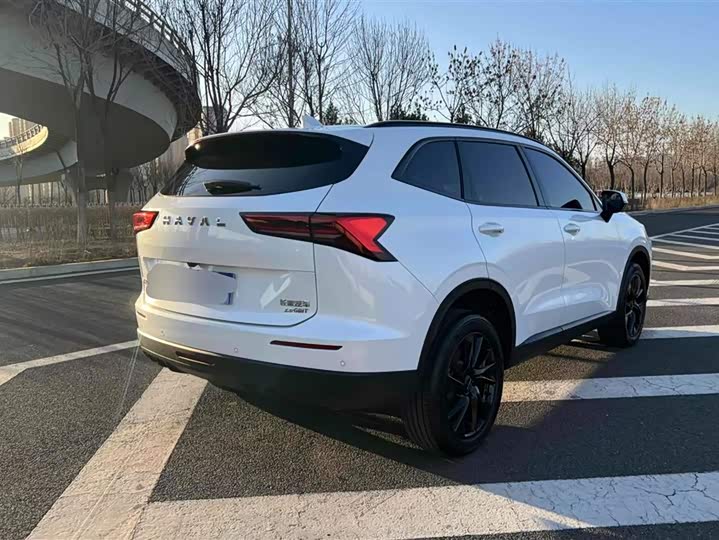Haval H6 2024 2024款 2.0T 两驱Max