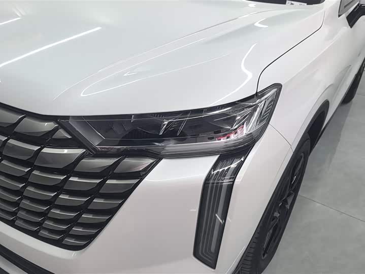 Haval H6 2024 2024款 2.0T 两驱Max