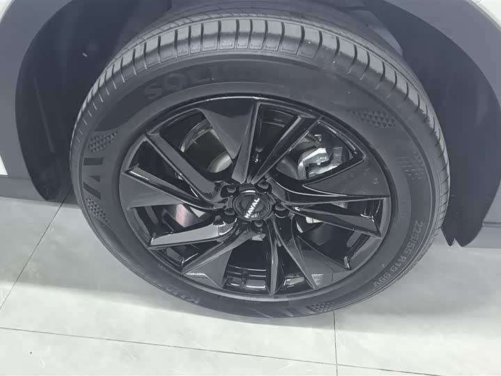 Haval H6 2024 2024款 2.0T 两驱Max