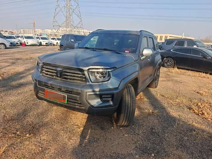 Tank 700 Hybrid 2024 2024款 Hi4-T 极境版