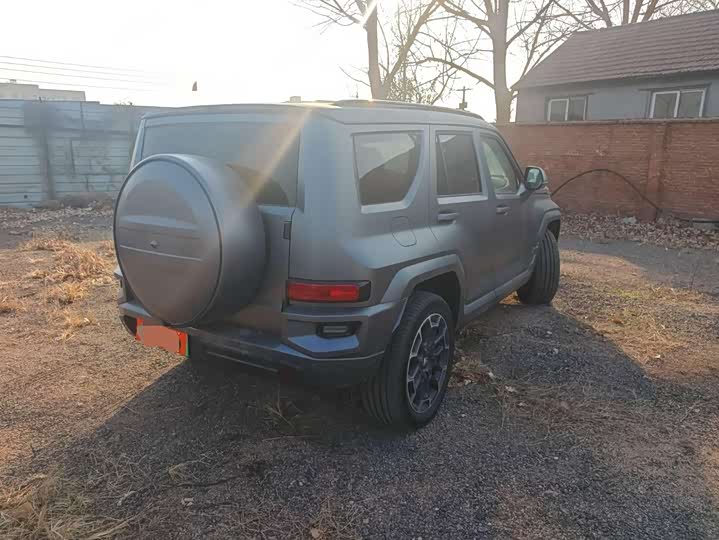 Tank 700 Hybrid 2024 2024款 Hi4-T 极境版