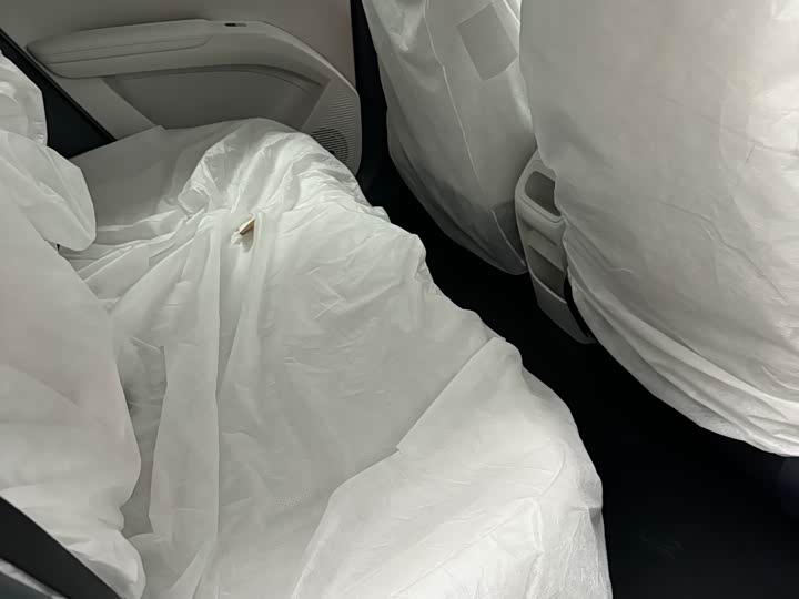 2026 Geely Galaxy Geome