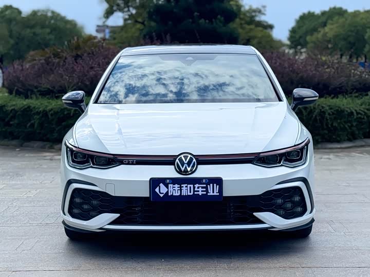 Volkswagen Golf GTI 2021 2021款 380TSI DSG GTI