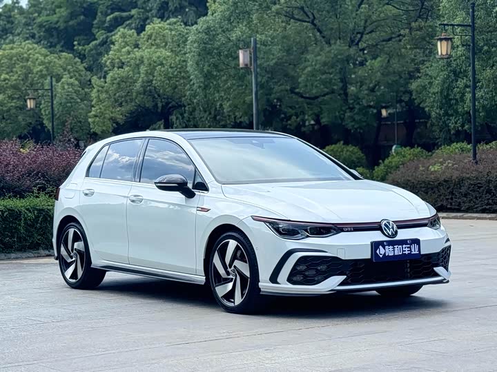 Volkswagen Golf GTI 2021 2021款 380TSI DSG GTI