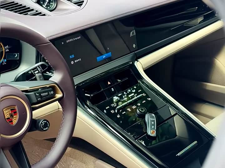 Porsche Panamera 2024 2024款 Panamera 2.9T