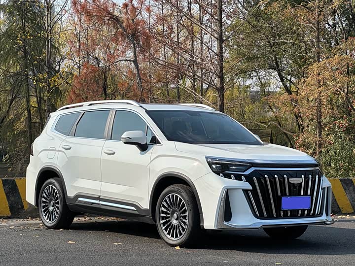 2025 Geely Okavango L