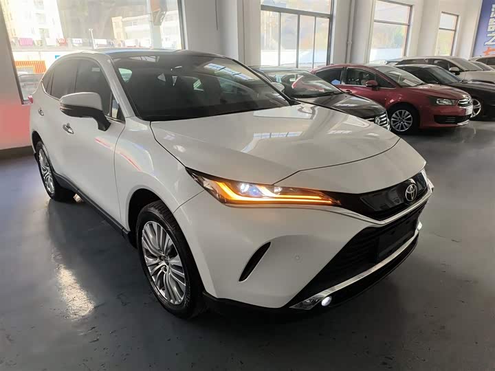 Toyota Harrier 2023 2023款 2.0L CVT两驱尊享版