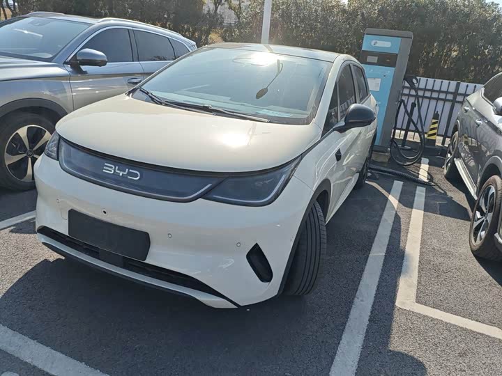 BYD Dolphin 2025 2025款 智驾版 410km 时尚版