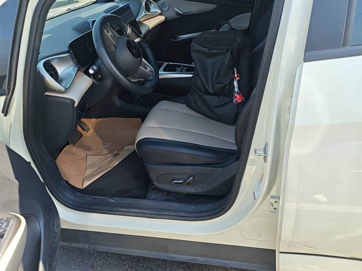 BYD Dolphin 2025 2025款 智驾版 410km 时尚版