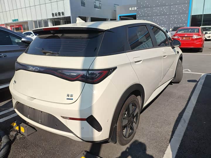 BYD Dolphin 2025 2025款 智驾版 410km 时尚版