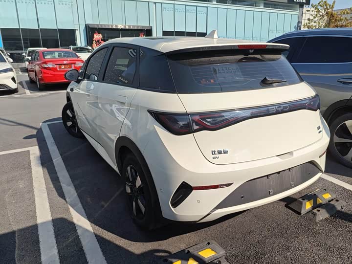 BYD Dolphin 2025 2025款 智驾版 410km 时尚版