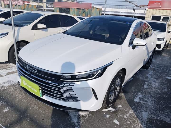 BYD Destroyer 05 2024 2024款 荣耀版 DM-i 55KM 豪华型