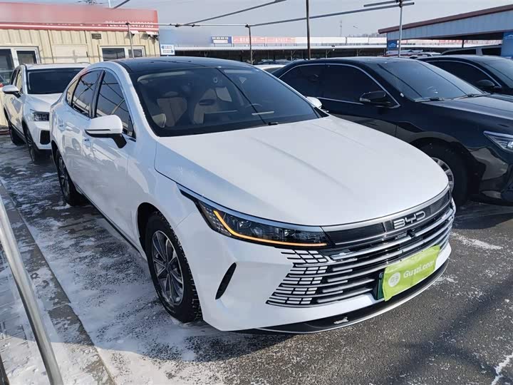 BYD Destroyer 05 2024 2024款 荣耀版 DM-i 55KM 豪华型