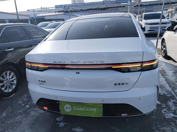 BYD Destroyer 05 2024 2024款 荣耀版 DM-i 55KM 豪华型