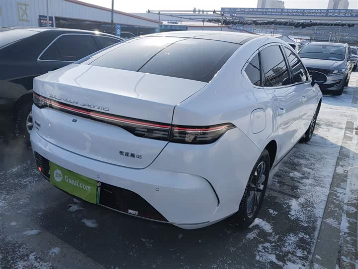 BYD Destroyer 05 2024 2024款 荣耀版 DM-i 55KM 豪华型