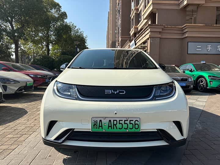 BYD Dolphin 2025 2025款 420km 自由版