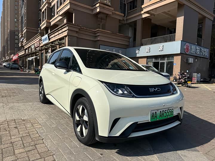 BYD Dolphin 2025 2025款 420km 自由版