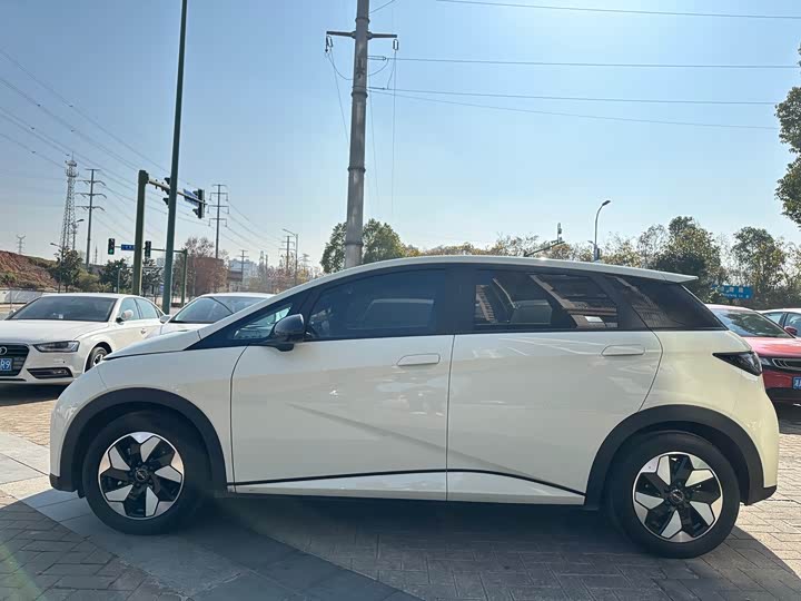 BYD Dolphin 2025 2025款 420km 自由版