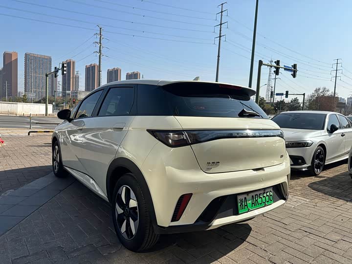 BYD Dolphin 2025 2025款 420km 自由版