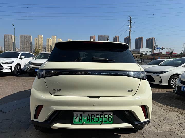 BYD Dolphin 2025 2025款 420km 自由版