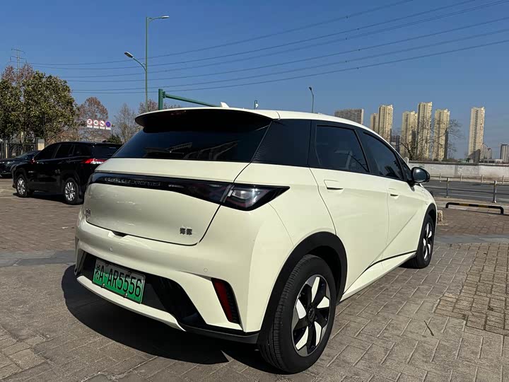 BYD Dolphin 2025 2025款 420km 自由版