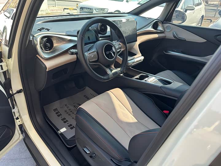 BYD Dolphin 2025 2025款 420km 自由版