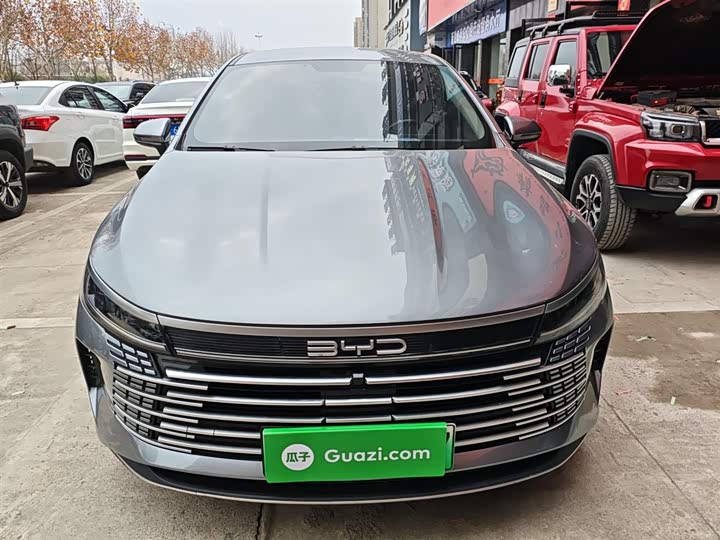 BYD Destroyer 05 2024 2024款 荣耀版 DM-i 55KM 豪华型