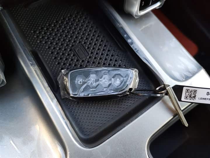 Haval Dargo 2024 2024款 1.5T DCT拉布拉多版