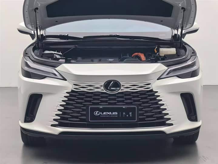 Lexus RX 2023 2023款 350h 四驱醇享版