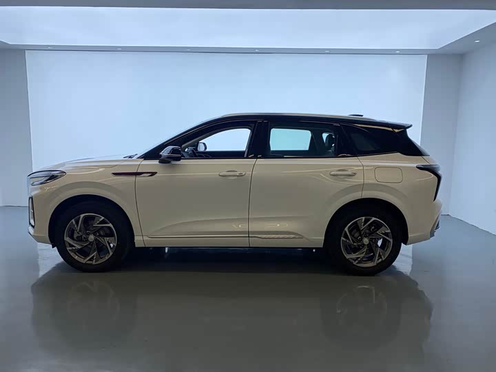 Hongqi HS3 Hybrid 2024 2024款 115km 劲为版