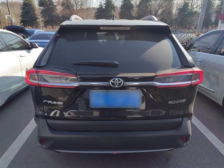 Toyota Wildlander 2024 2024款 2.0L CVT两驱领先版