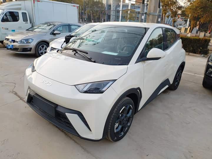 BYD Seagull 2025 2025款 305km 自由版