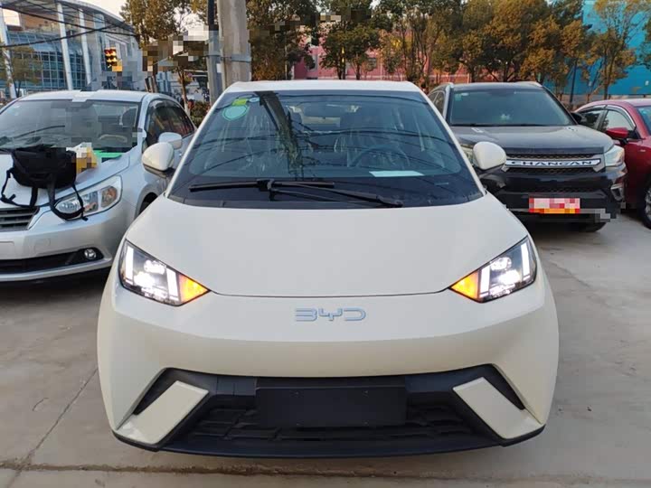 BYD Seagull 2025 2025款 305km 自由版