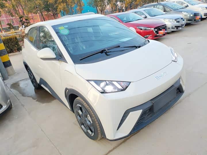 BYD Seagull 2025 2025款 305km 自由版